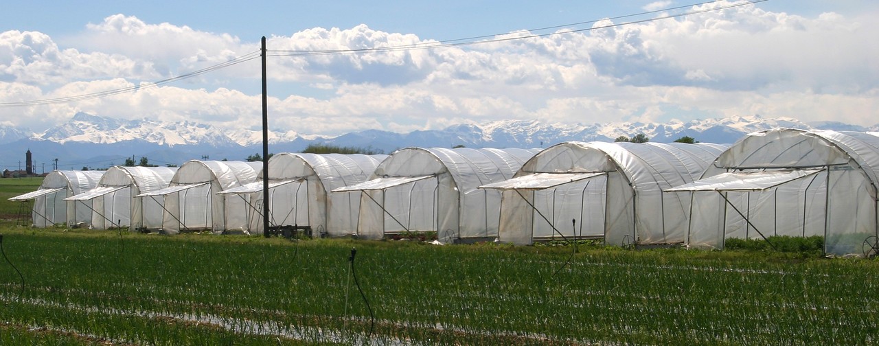 agrispesa immagine home