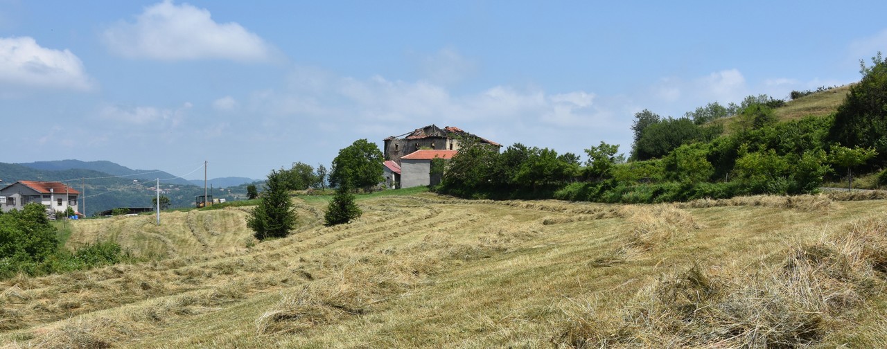 agrispesa immagine home