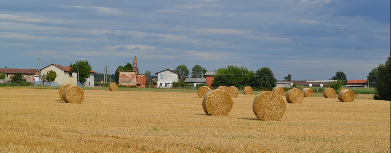 agrispesa immagine home